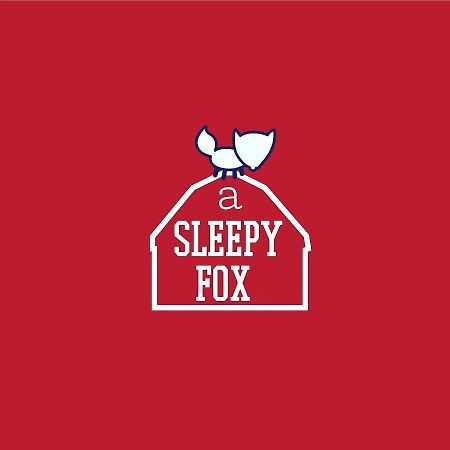 A Sleepy Fox Hostel Νέο Δελχί Εξωτερικό φωτογραφία