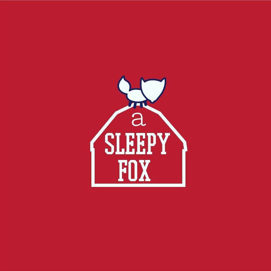 A Sleepy Fox Hostel Νέο Δελχί Εξωτερικό φωτογραφία