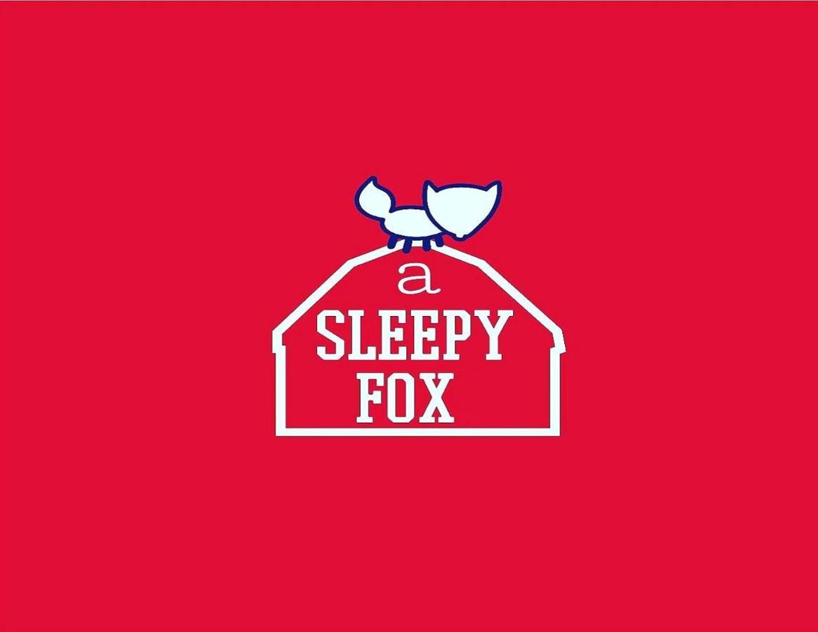 A Sleepy Fox Hostel Νέο Δελχί Εξωτερικό φωτογραφία